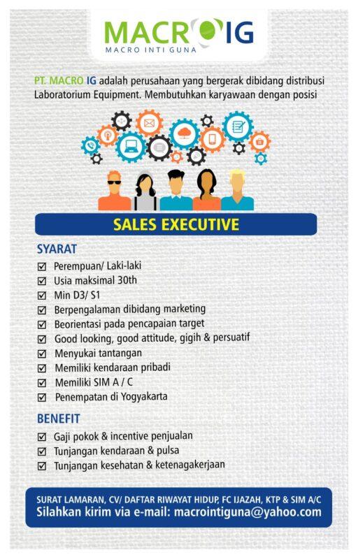 Lowongan Kerja Sales Executive Di Pt Macro Ig Lokerjogja Id