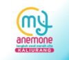 Loker Bimbingan belajar Anemone