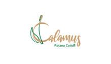 Lowongan Kerja Admin Social Media & WEB di PT. Calamus Rotana Cattail - Yogyakarta