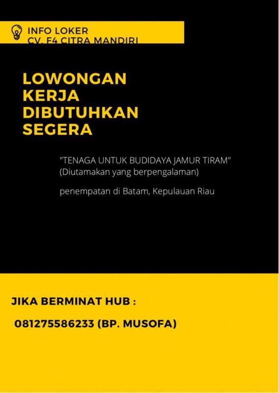 Lowongan Kerja Tenaga Budidaya Jamur Tiram Di CV F4 Citra Mandiri   CV. F4 Citra Mandiri 