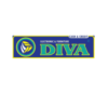 Lowongan Kerja Marketing Online – Marketing – Pramuniaga – Collector di Diva Cash And Credit