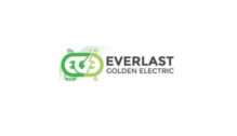 Lowongan Kerja E Commerce Officer – E Commerce Specialist di Everlast Golden Electric - Luar DI Yogyakarta